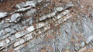 석개재 단면 막골층 노두의 실제 사진