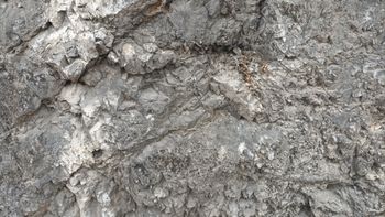 매포읍 하괴리의 고생대 조선 누층군 흥월리층