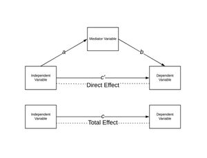 중재 모형에서의 직접 효과