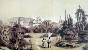 1852년 헤르만 루돌프 웬드로스가 그린 펠로타스