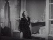 재회를 기다리는 테리