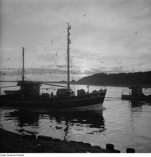 1962년경 항구의 어선