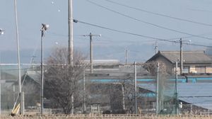 곡선을 통과하는 JR 시코쿠 2000계 기동차