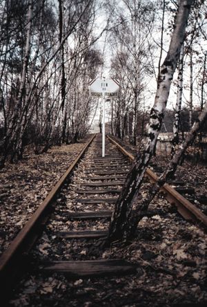 하일리겐제 선로 종단점 직전, 1987년