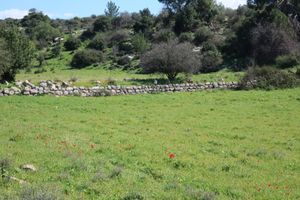 계곡에서 토사 유출을 방지하는 데 사용되는 옹벽의 돌