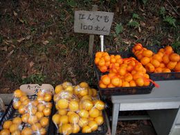 나라현의 귤 무인 직판장