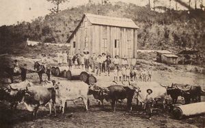 19세기 후반 히우그란지두술의 이탈리아 이민자.