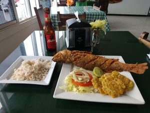 파나마 시티에서 제공되는 튀긴 생선과 토스토네를 곁들인 코코넛 밥.