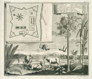 바타비아 코르넬리스 요새 도표