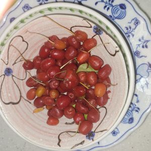 보리수나무의 익은 열매