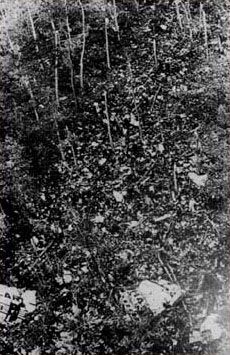 에르므농빌 숲의 추락 현장