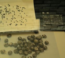 기자의 체내에서 적출된 산탄알