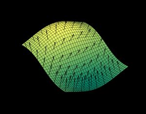 표면 법선은 조명 및 음영 계산에 널리 사용되며, 벡터의 노름 계산이 필요하다. 그림에는 표면에 수직인 벡터 필드가 표시되어 있다.