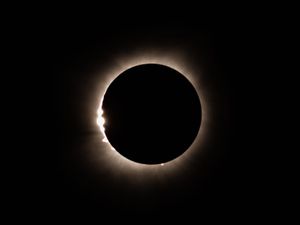 아칸소 주립 대학교(Arkansas State University) 캠퍼스에서 촬영된 2024년 4월 8일 일식 사진, 존스보로, 아칸소(Jonesboro, Arkansas)