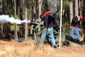 캐머런 미술관 근처 포크스 로드 전투 재연에서 대포 발사