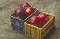 제4 인터내셔널의 적헬