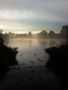 리젠츠 파크 호수