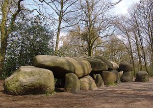 네덜란드 보르거-오도른에 있는 크고 T자형 후네베드(Hunebed) D27