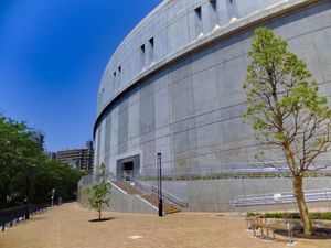 m}}의 코르크 스크류 모양 분기점이다.