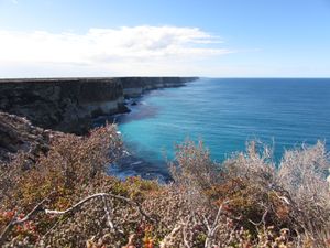 그레이트오스트레일리아만 2015