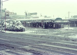 구・도츠카 버스센터(1984년 1월)