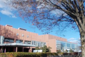 노다시 문화 센터