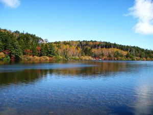 시라코마노이케