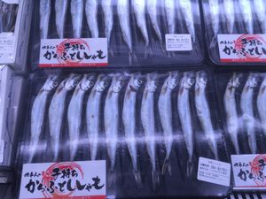 도쿄에서 판매되는 가라후토 시샤모