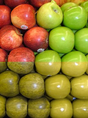 빨간색과 녹색 사과의 정상 색각(위)과 색각 이상(아래) 시뮬레이션