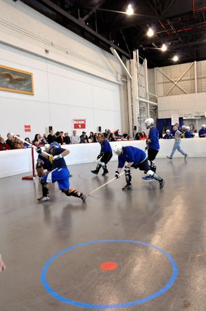 2014년 스페셜 올림픽 플로어 하키 경기 모습