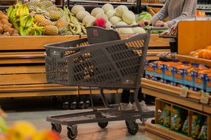 탑승자가 있는 캐롤라인 카트 측면 프로필