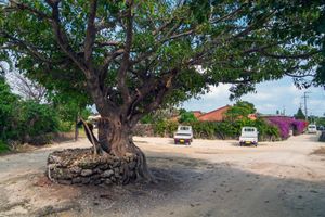 서 집락의 슨마샤