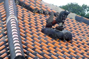 다케토미 섬의 전통적인 공법으로 만들어진 류큐 기와를 사용한 지붕과 시사