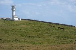 동쪽 곶과 요나구니 말