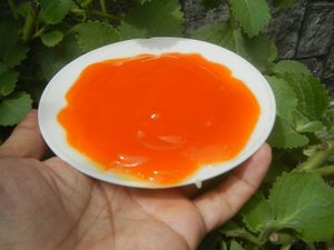 필리핀 agre dulce(달콤하고 신 소스)