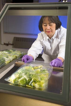 포장 테스트: 상추의 약효기간 평가를 위한 열 접착 필름