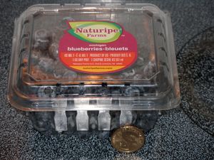 1 쇼핀 세슈 US 551 mL}}로 표시된 블루베리