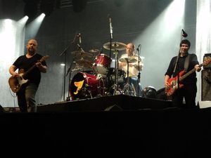 픽시즈가 2010년 프리마베라 사운드에서 공연