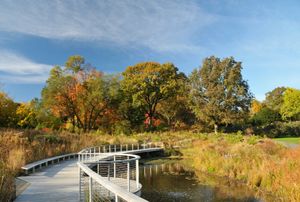 네이티브 플로라 가든 확장