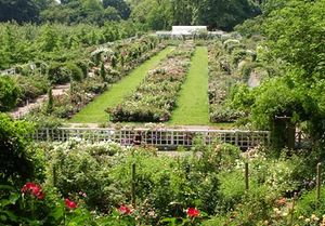 크랜포드 장미 정원