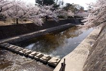 니시노미야시의 공원