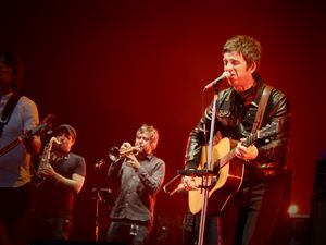 2015년의 하이 플라잉 버즈