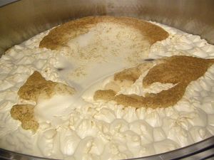 현대 양조장에서 거품 상태의 1차 발효 중인 맥즙. 어두운 갈색 부분은 홉 잔류물이다.