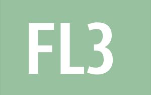 FL3 노선