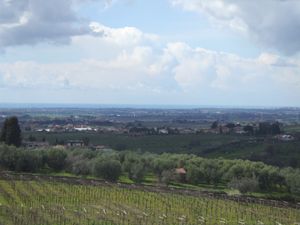 알바노 외곽의 시골 풍경