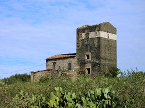The Chancellor Tower.