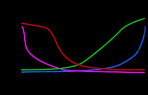 초파리의 초기 배아 장축을 따라 유전자 생성물 분포