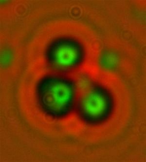 CR-39 플라스틱 방사선 검출기에서 팔라듐 중수소화물에서 중성자 방출 증거로 주장되는 "세 개의 궤적"