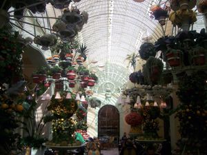 2009년 윈의 뷔페