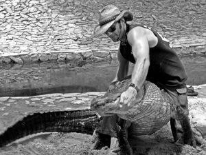 남자가 아메리카 악어와 레슬링을 하고 있다